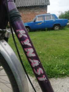 dyferentsial-trykolisnoho-velosypeda-kynast-ohliad-i-obsluhovuvannia_2