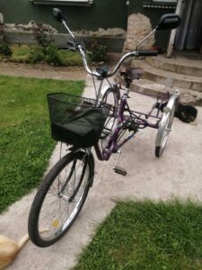 dyferentsial-trykolisnoho-velosypeda-kynast-ohliad-i-obsluhovuvannia_4